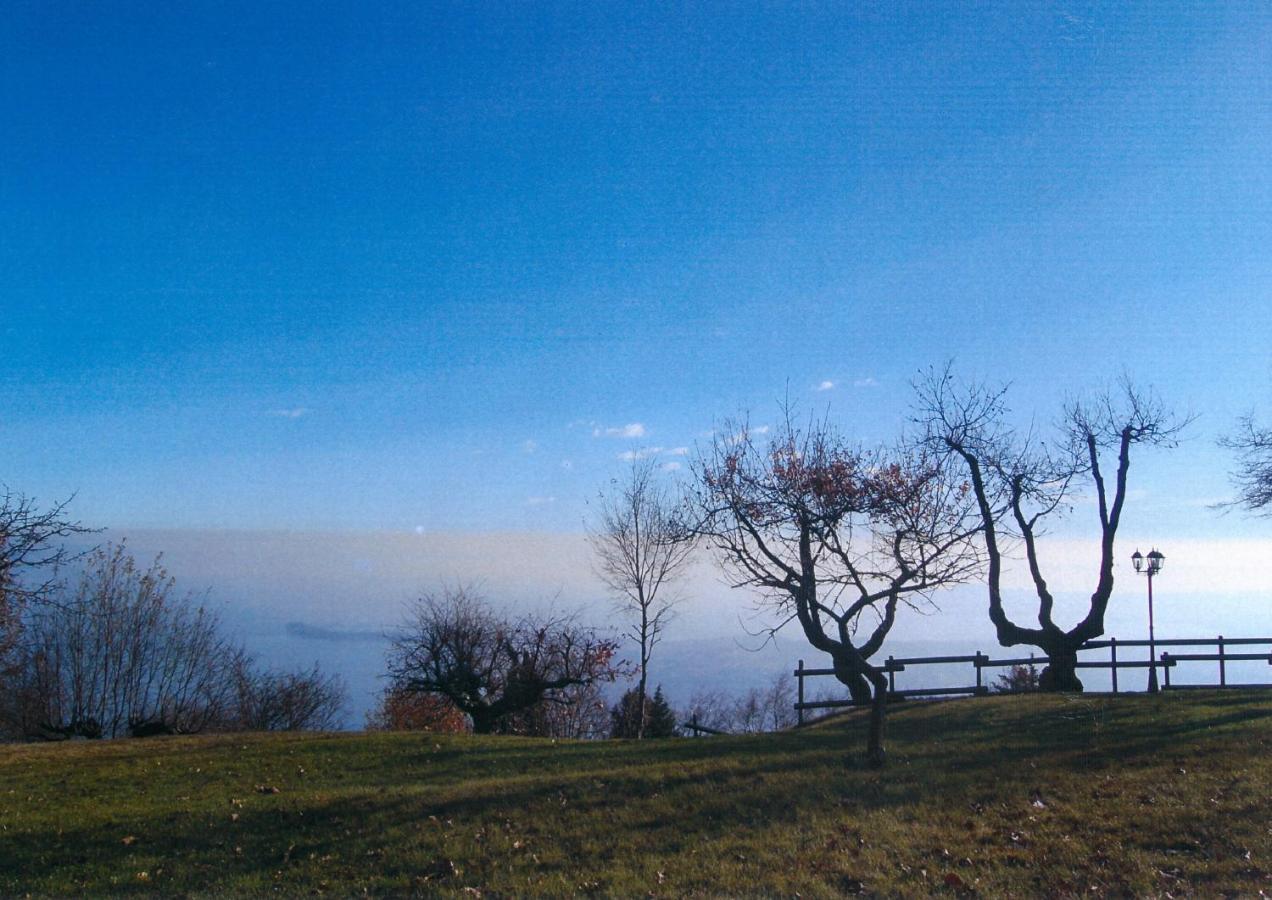 La Fiocchina - Magic Place - Apartments & Studios In Garda Lake - Countryside Farmhouse, Inside The Middle Of The Lake Salò Exterior foto